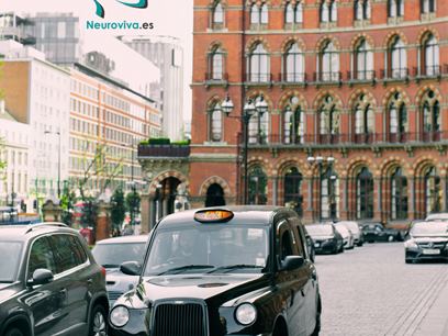 Los taxistas de Londres tienen el hipocampo más grande 